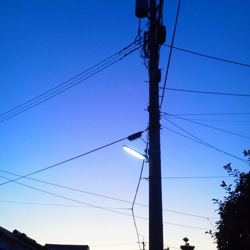 青のコントラスト。