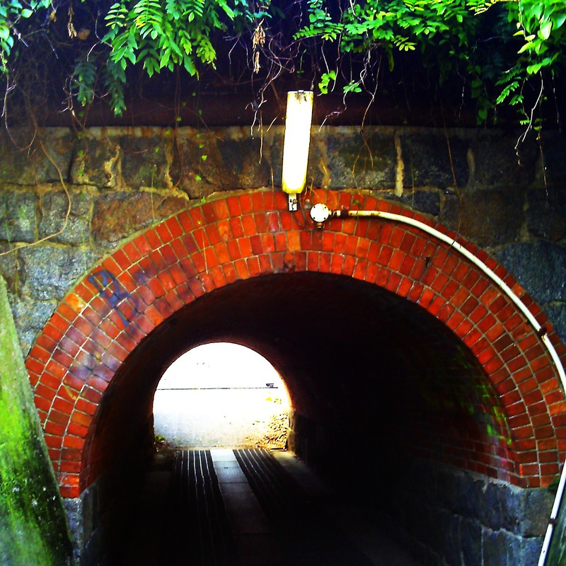 背の低いトンネル