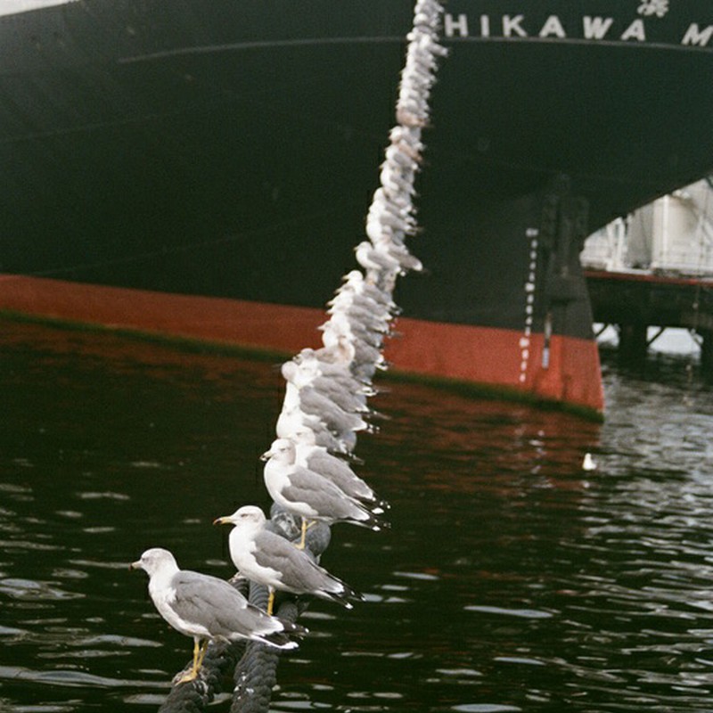 位置について〜