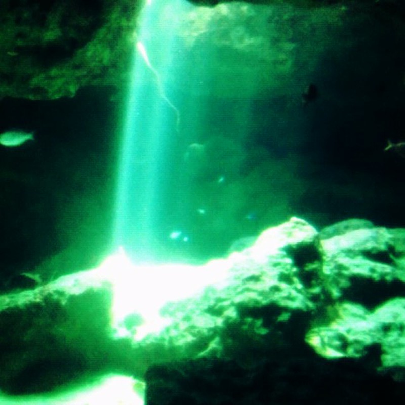海底への光
