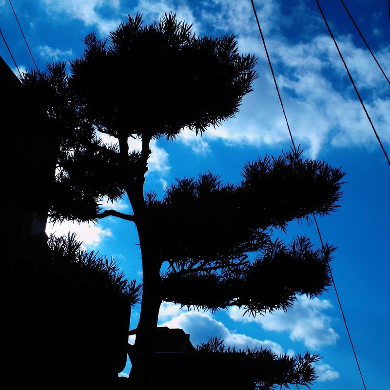 切り絵みたいになった