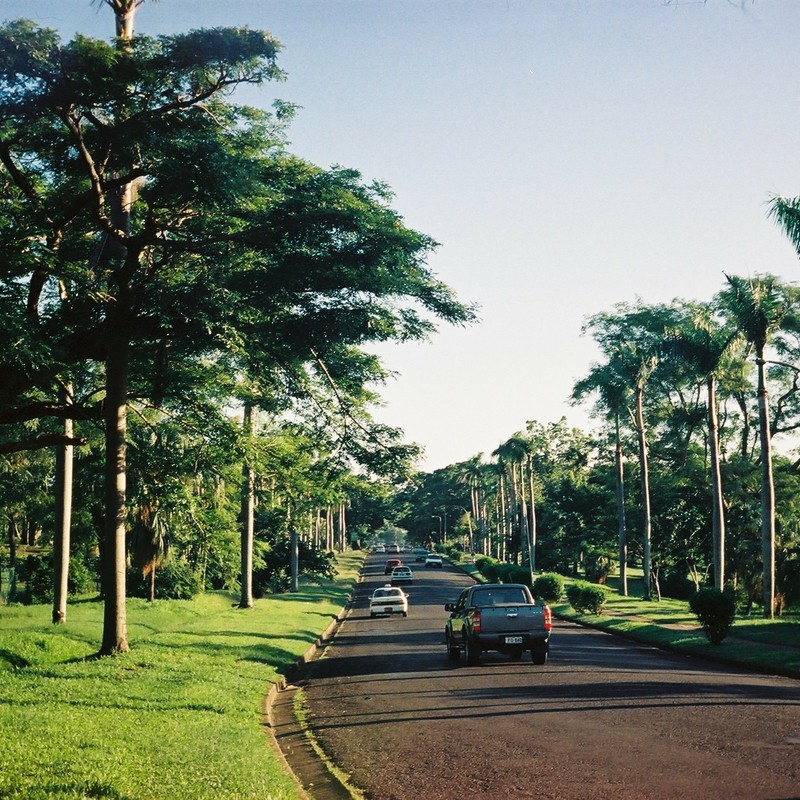 学校の前の道