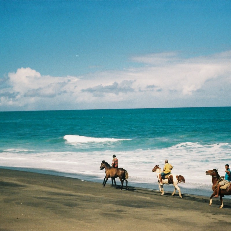 海と馬