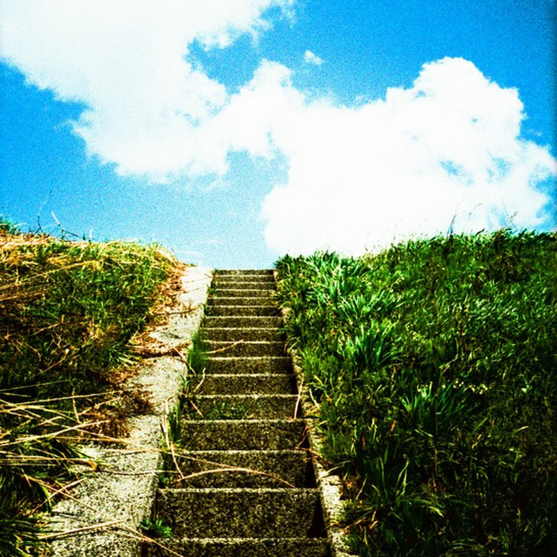夏への階段