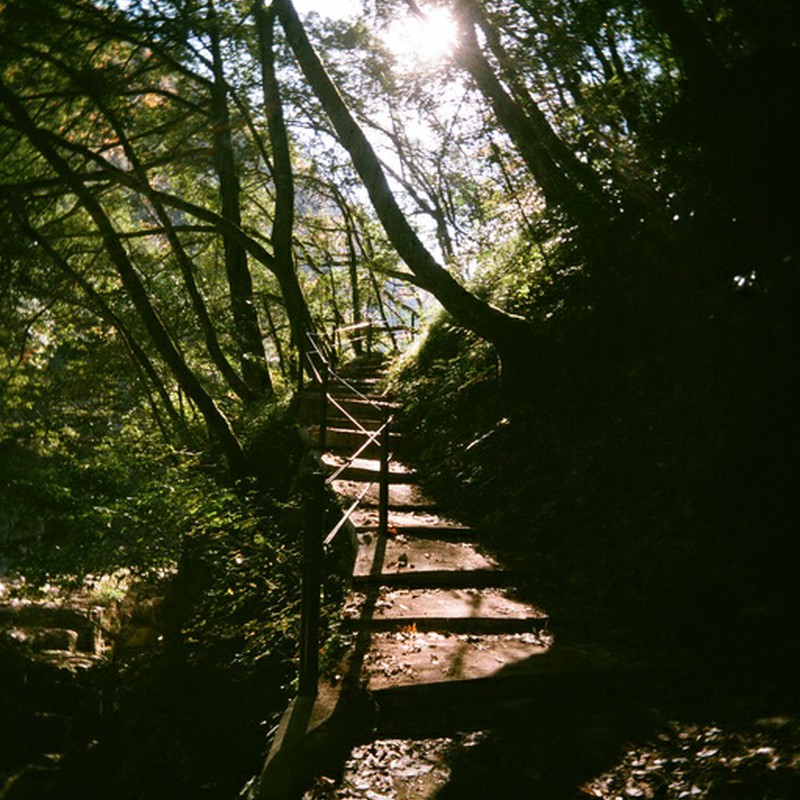 森の奥の階段