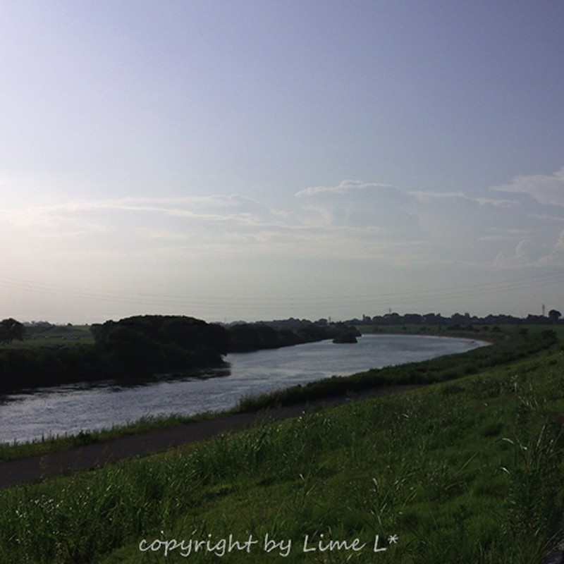 土曜日の江戸川