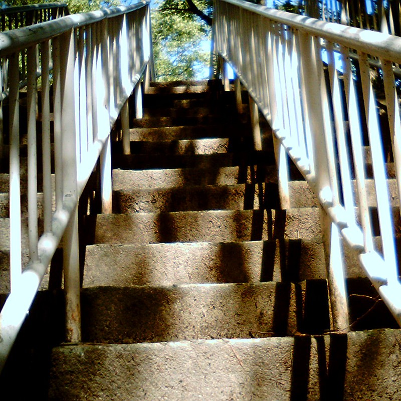 階段と木漏れ日