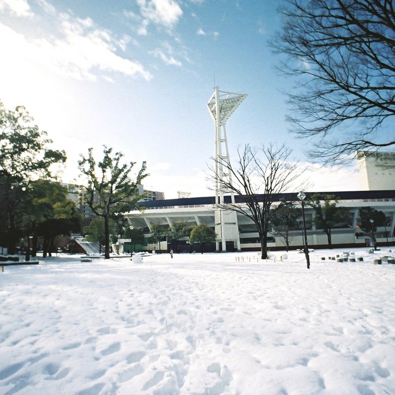 雪国横浜