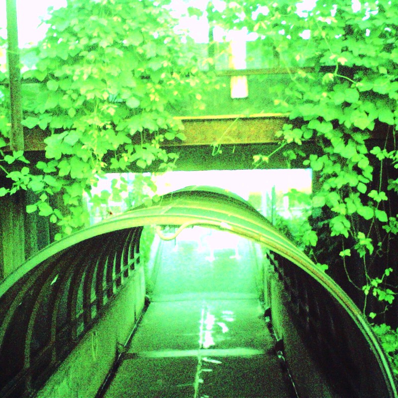 緑のトンネル
