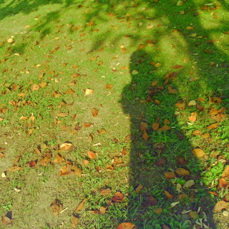 セルフポートレート-シルエット-