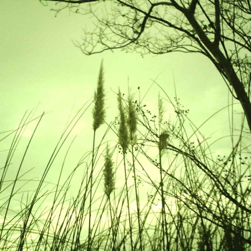 秋もそろそろ終わり…