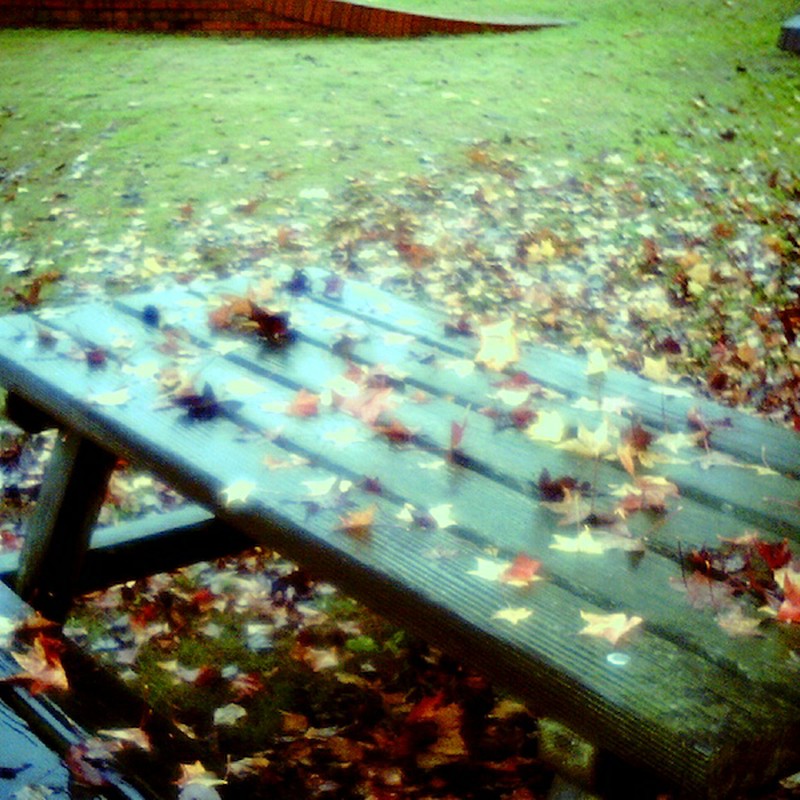 落葉に埋もれたベンチ