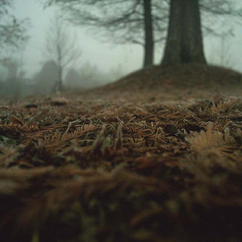 大地は夢見ている