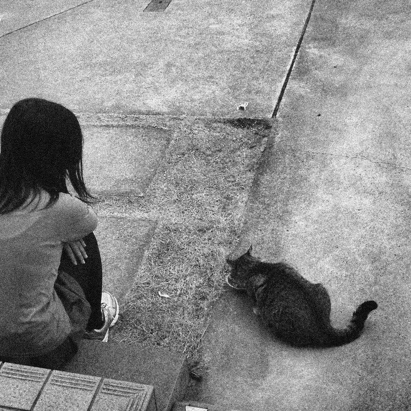 少女と猫