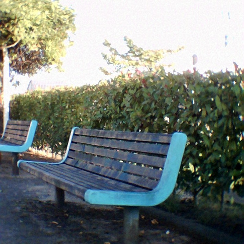 遊歩道のベンチ。