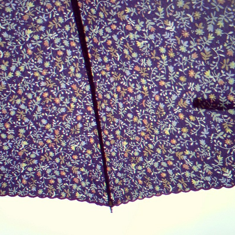雨傘。