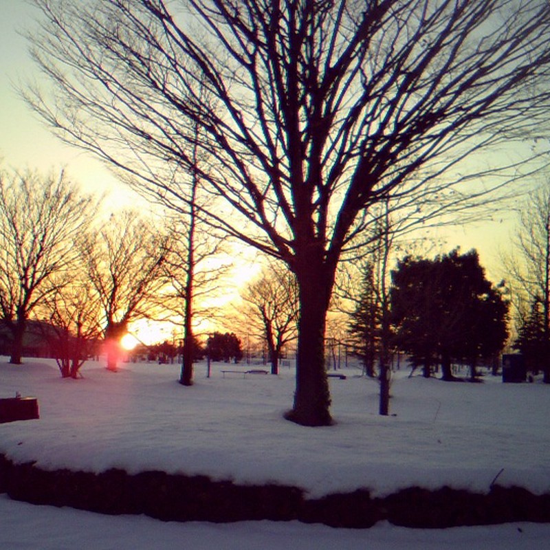 公園から見えた夕日。