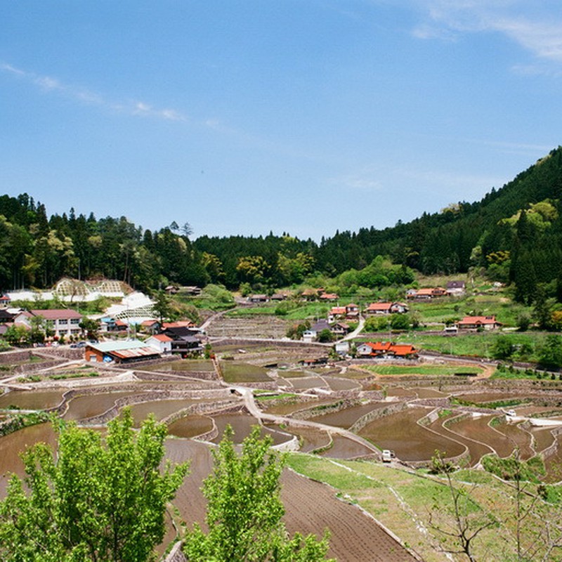棚田の村