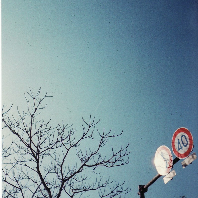 木と標識と空