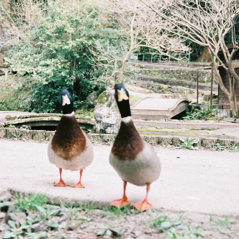 ぼやけちゃった…