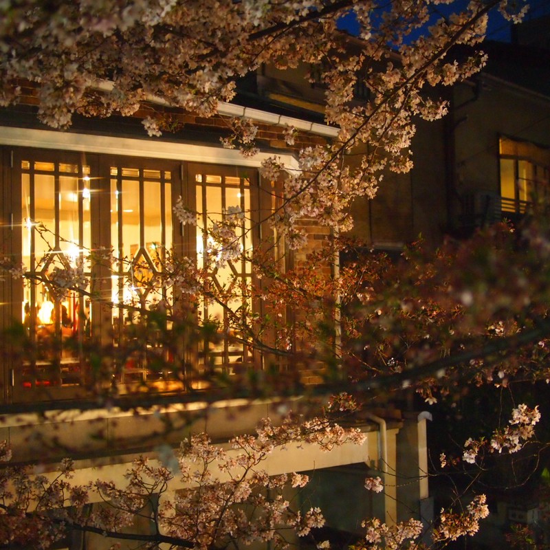 京の夜　「桜」