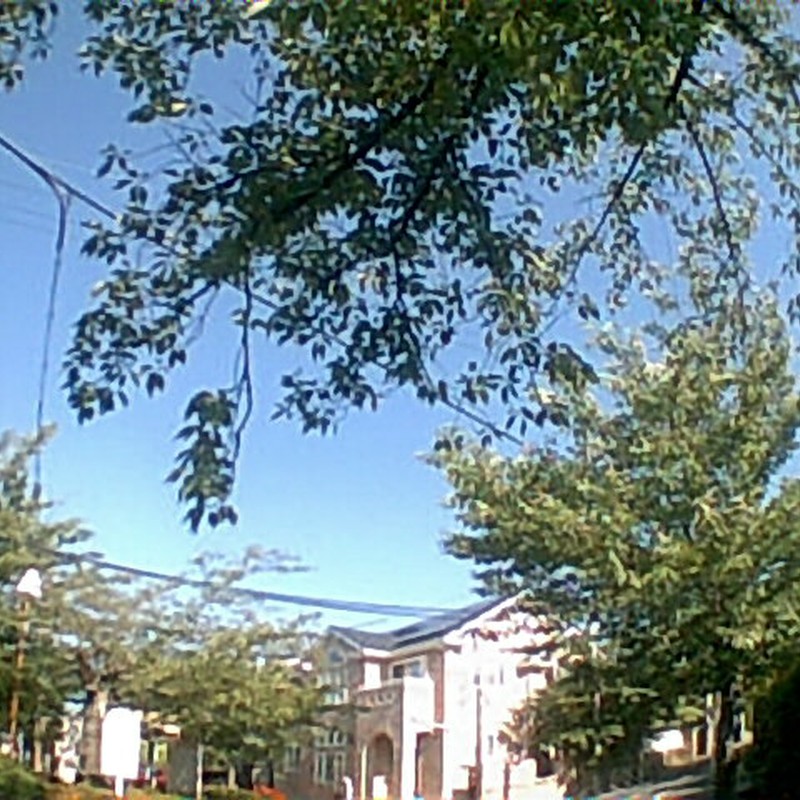 なかなか撮れるもんだなぁ^^