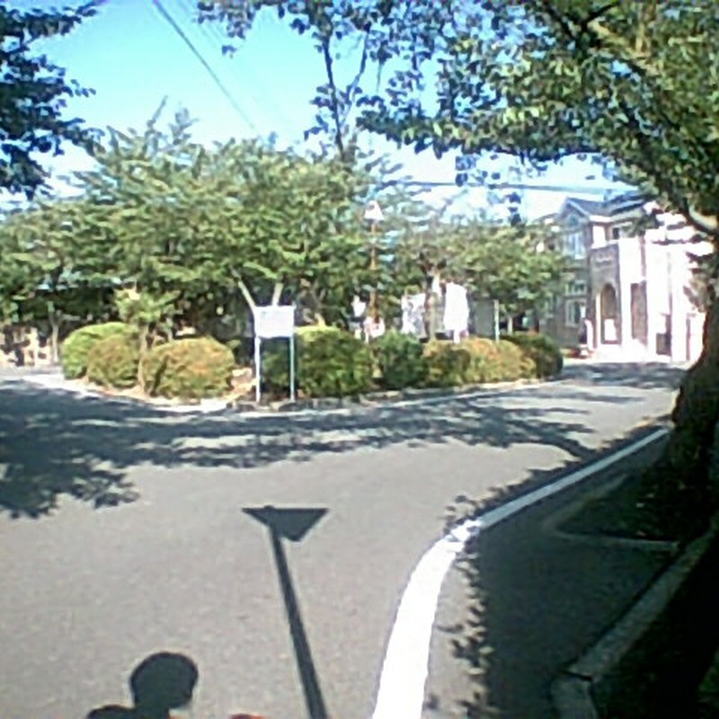 あの影は。。。