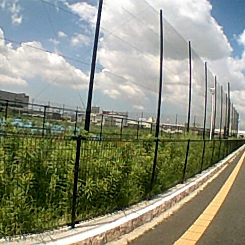 飛行機来るかな^^