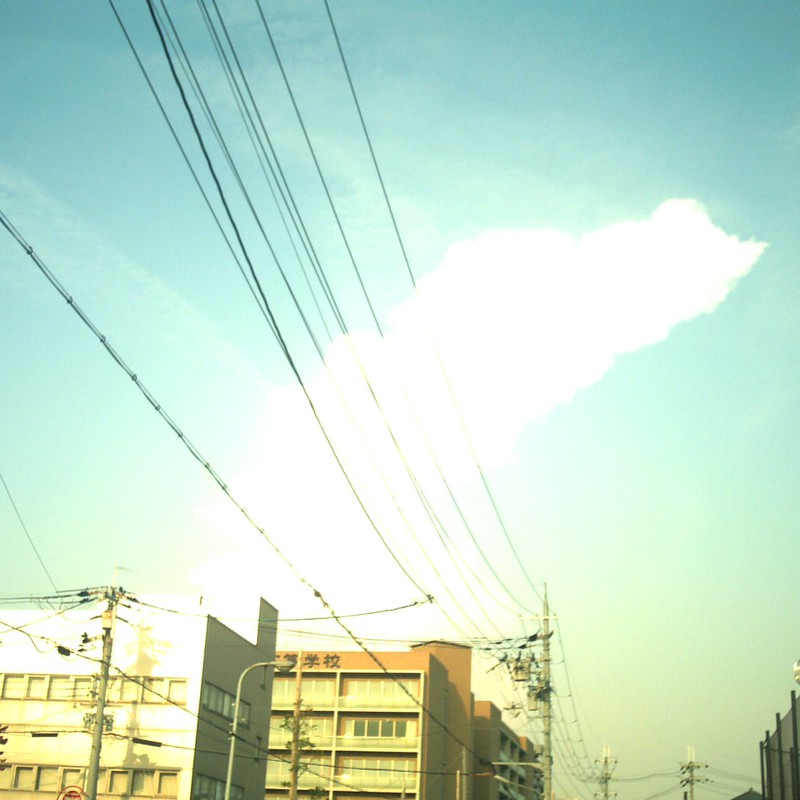 空にファルコン?