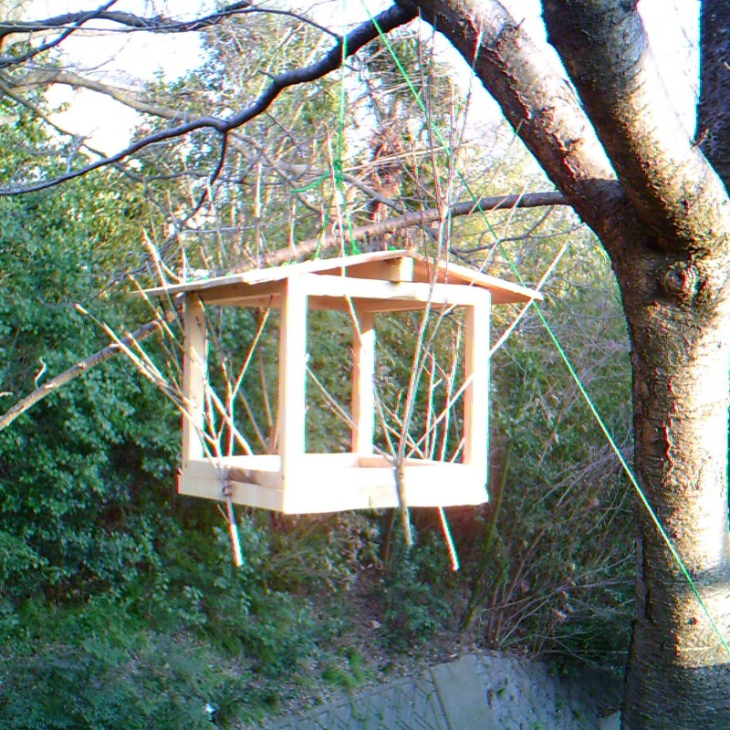 これは?鳥かご?