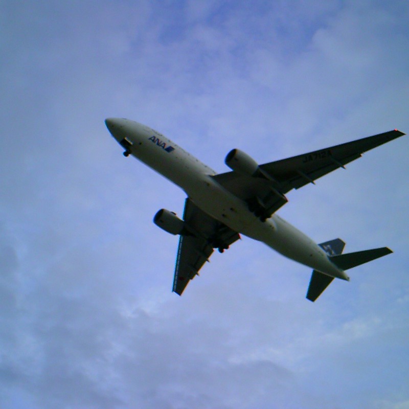 ど真ん中で撮れててうれしい!