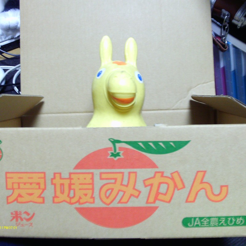 rody in the box