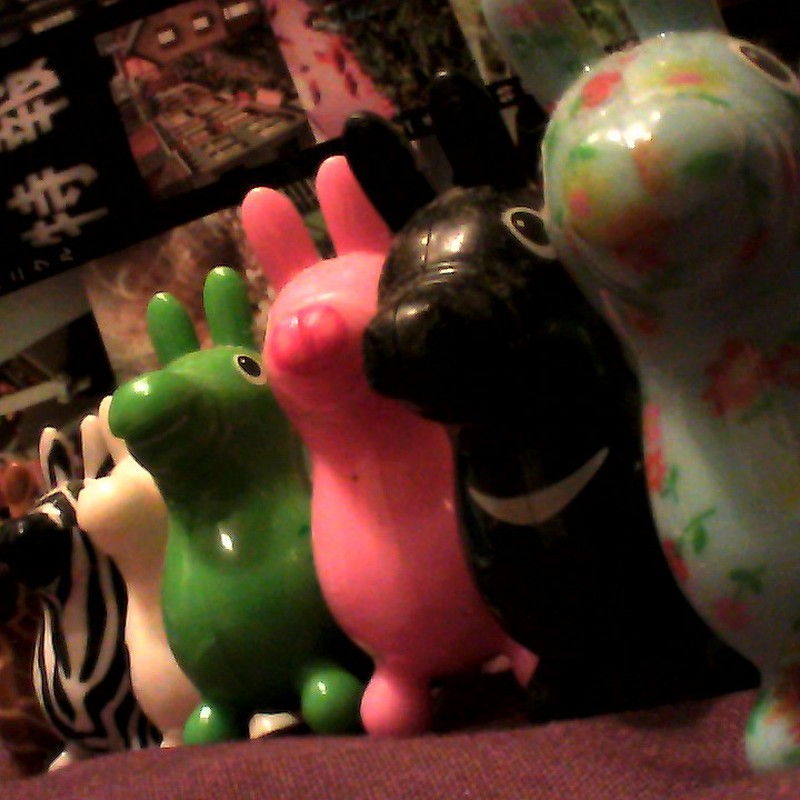 RODY COLLECTION