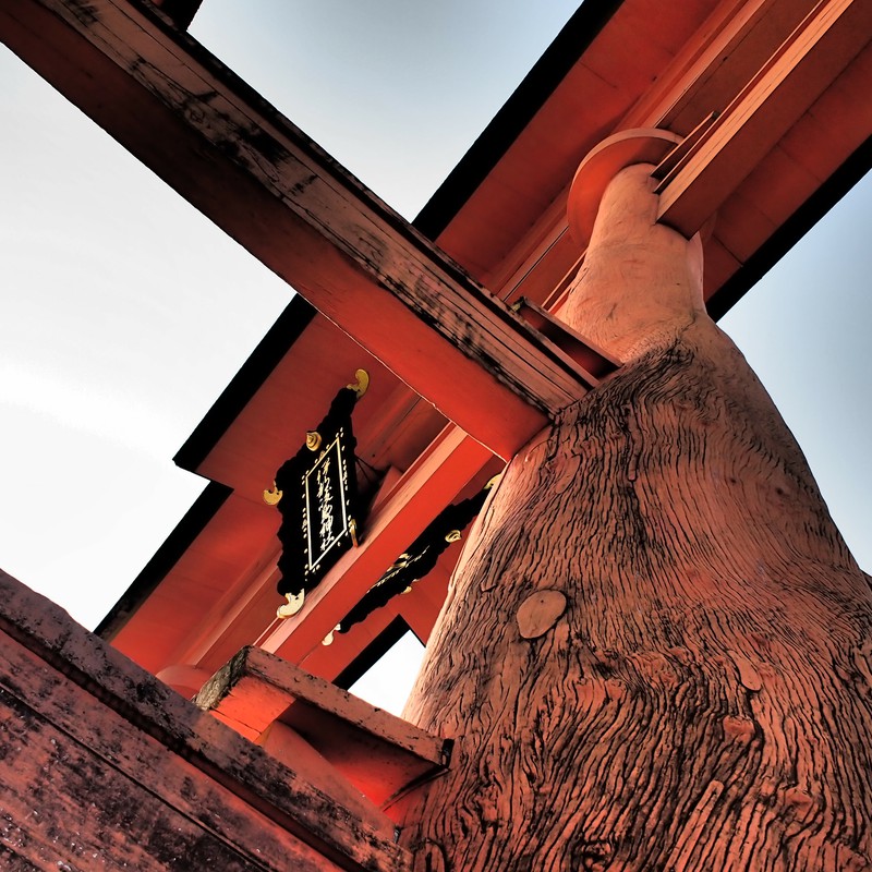 厳島神社の大鳥居を望む