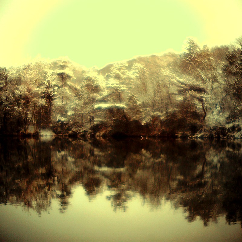 雪と池