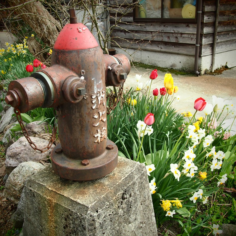 春の消火栓