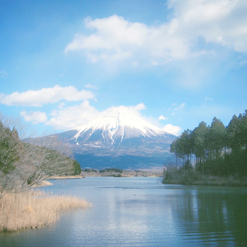 Mt.fuji & Tanuki Lake*