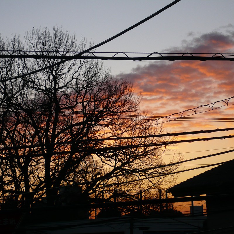 さみしい、夕方デフォルト