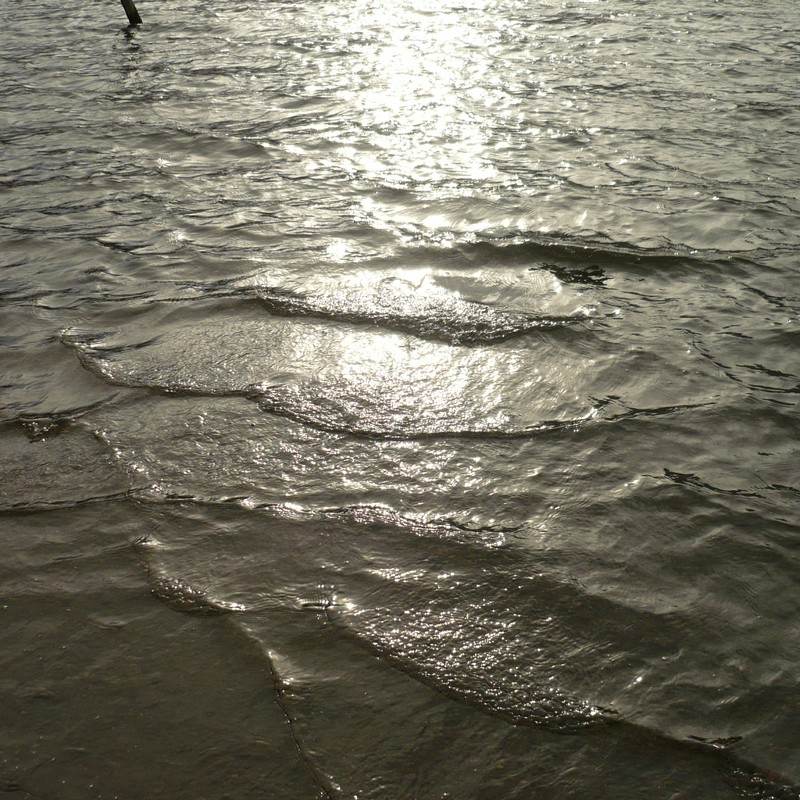 水面に魅せられて