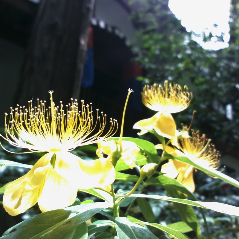 ほら、怖くない