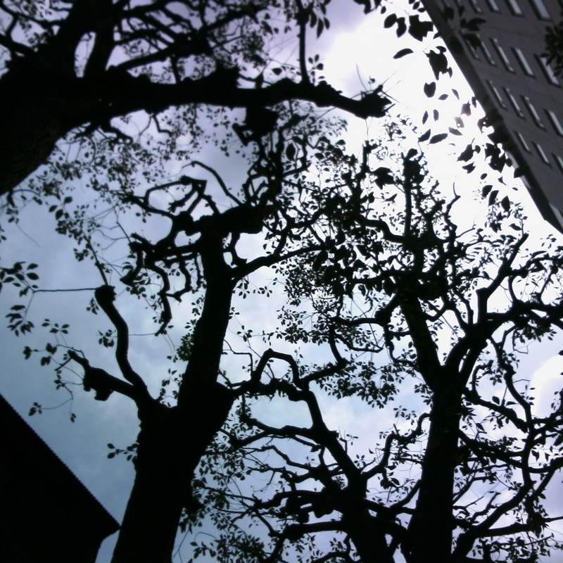 空にからみつく 2