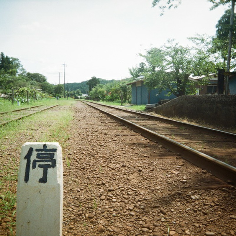 手をとりあって このみちを すすむ