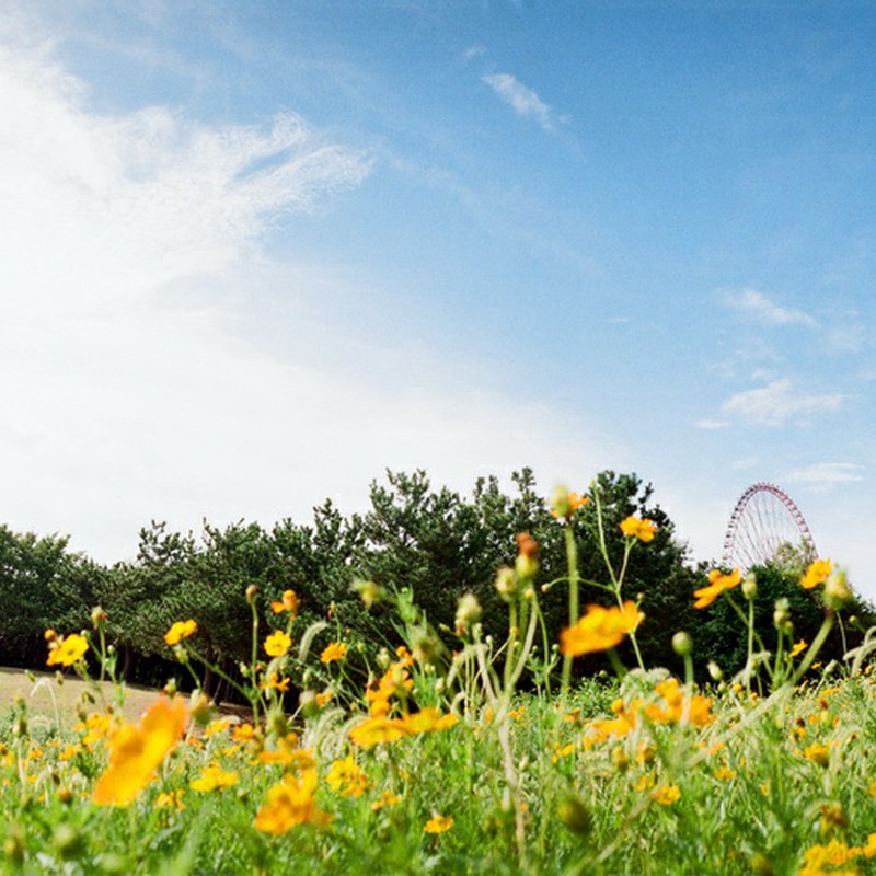 100年続きますように