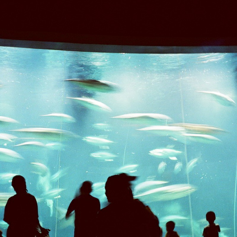 「ぼくの夏休み」