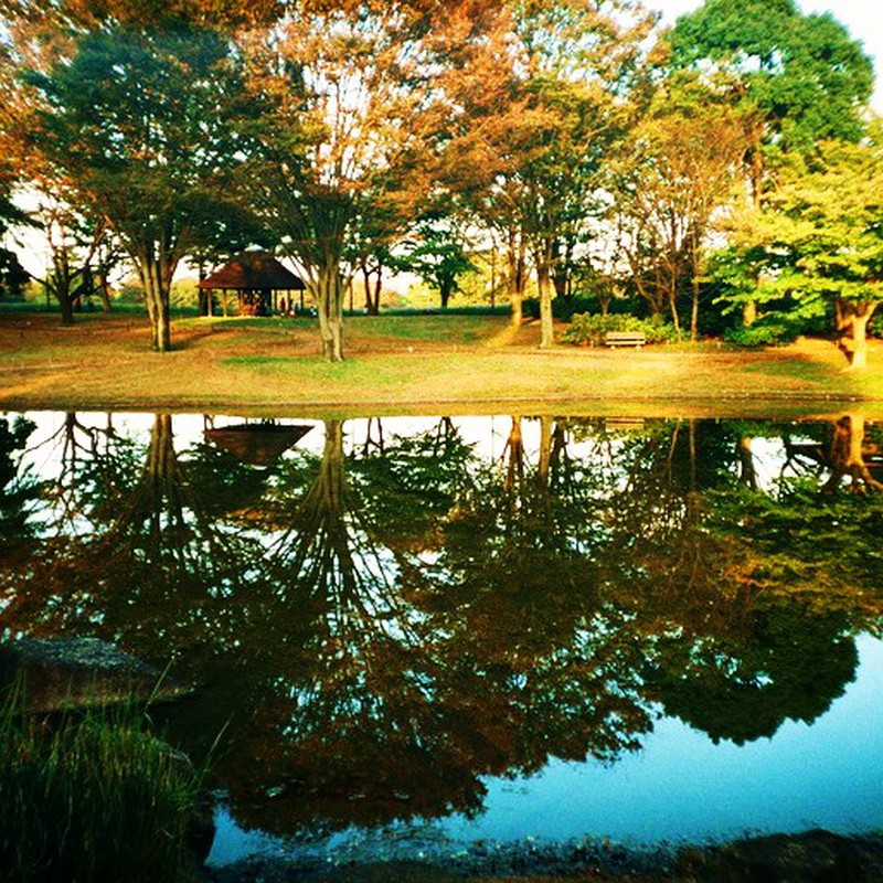 あたしたちが一緒になった頃