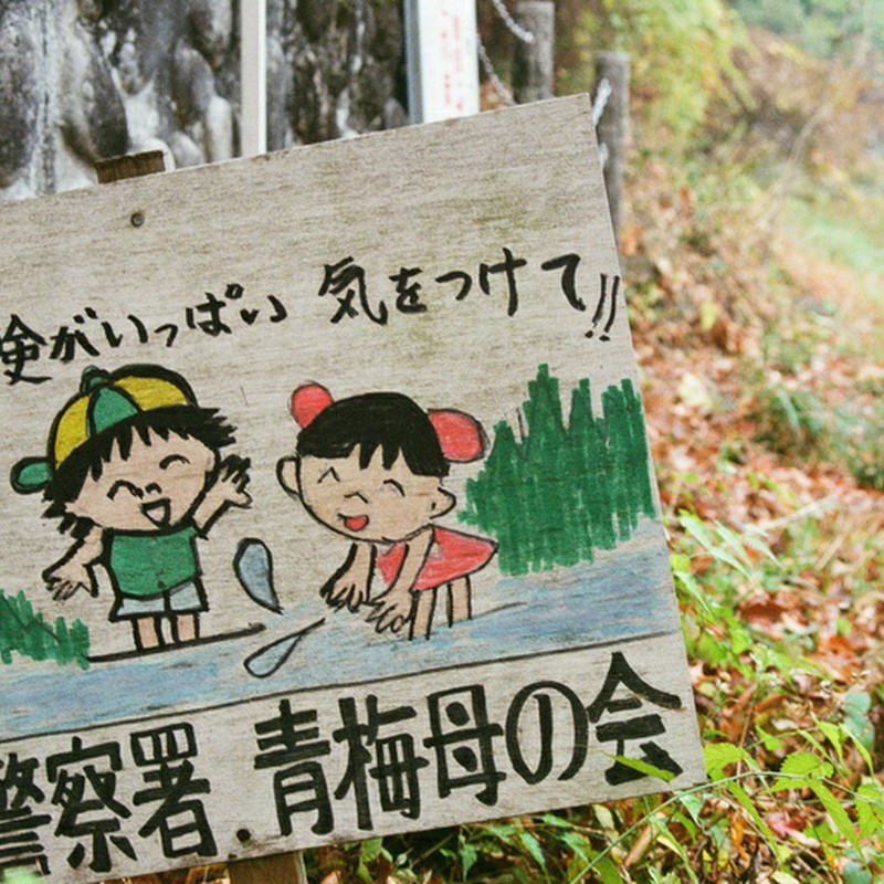 てすてすてすとー