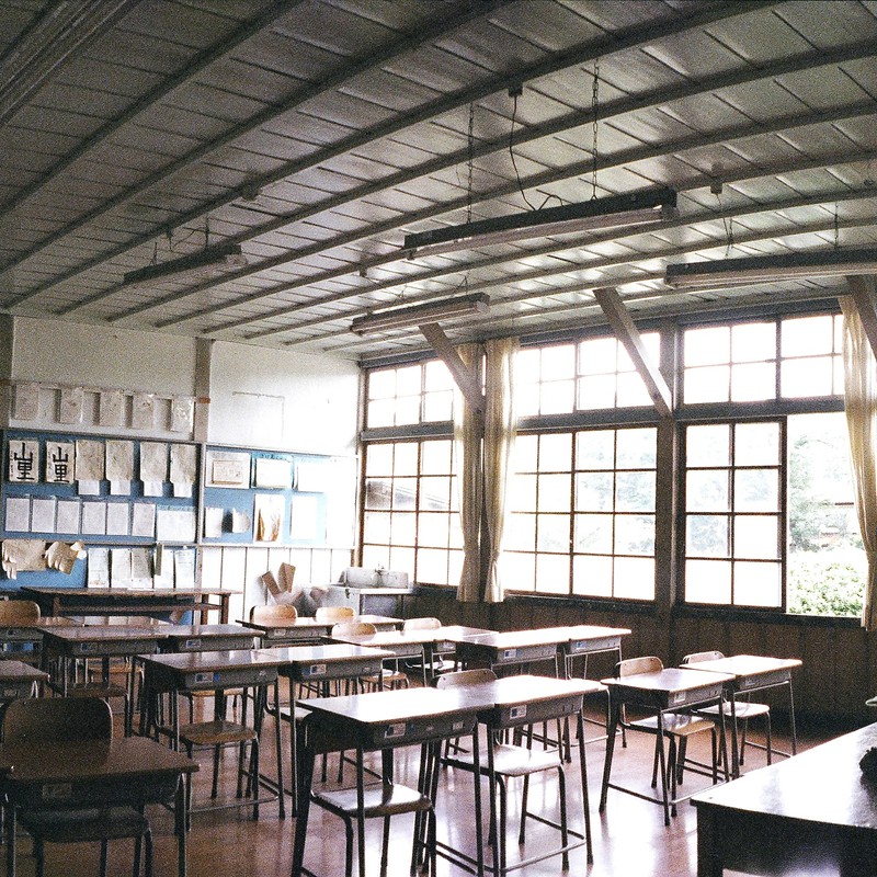 木漏れ日青春白書