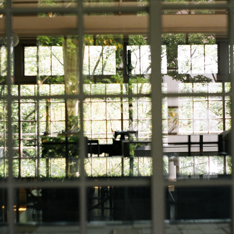 敷き詰めて、抱きしめて