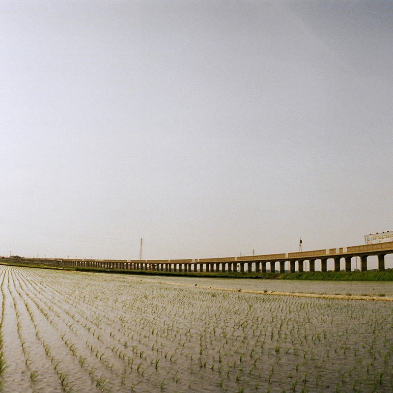 愛してくれる人がいるからその場所は輝く