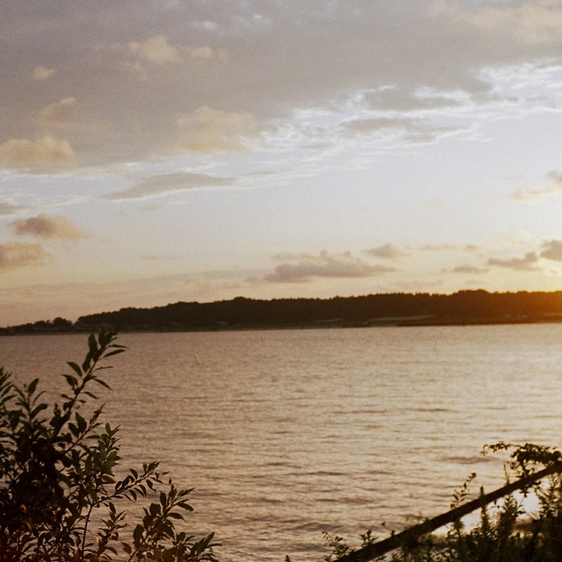 こどもうみました。